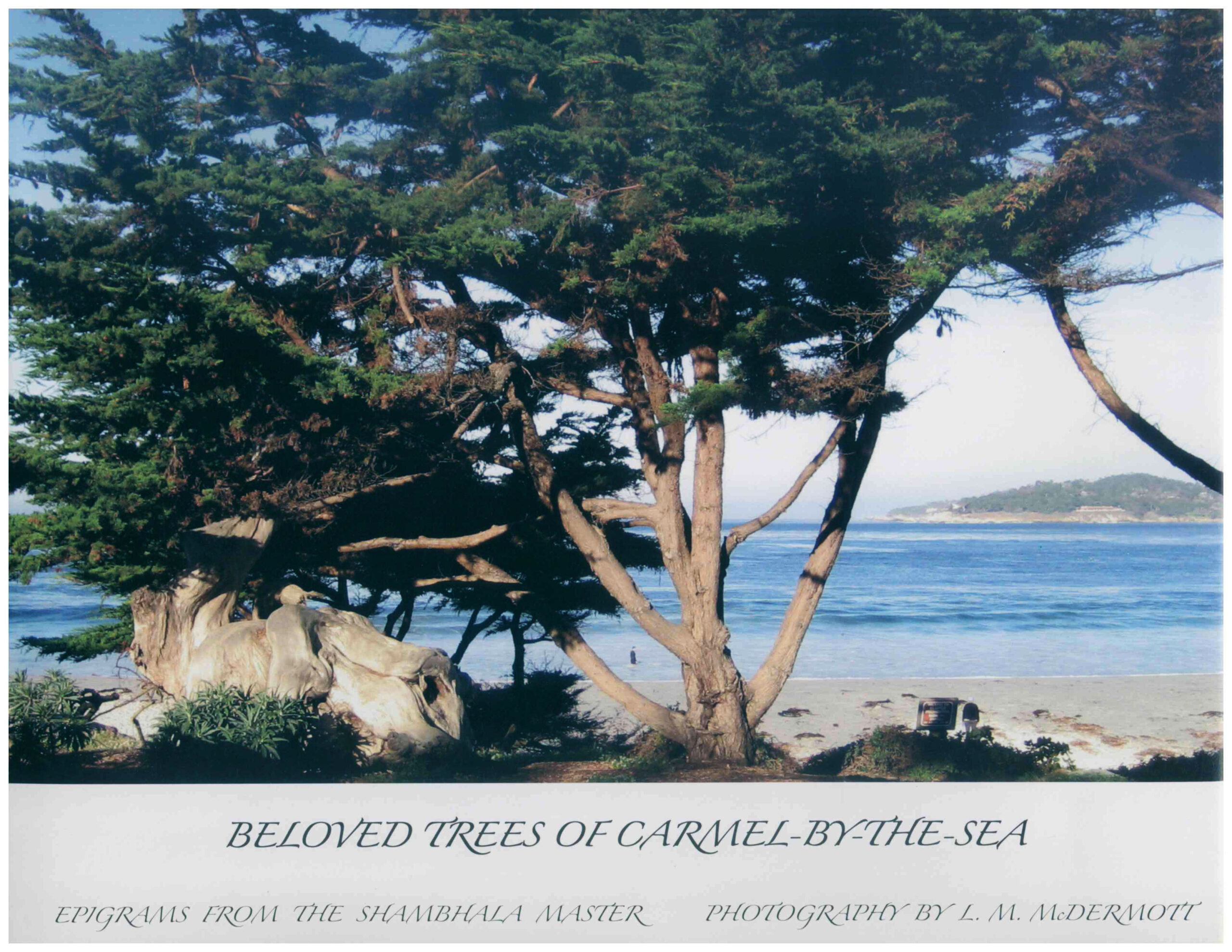 Beloved_Trees